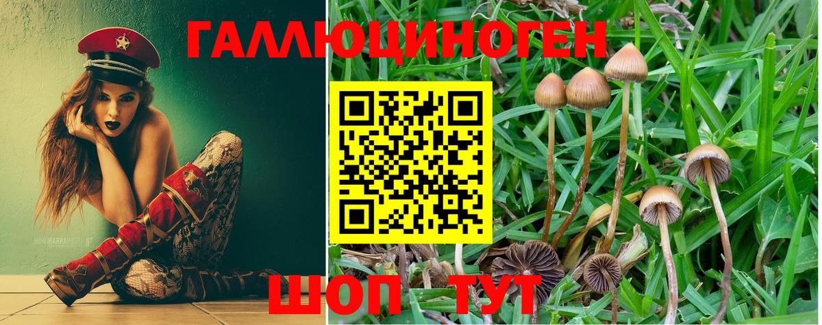 Галлюциногенные грибы мухоморы  хочу   Соль-Илецк  Вход с VPN 